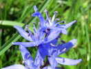 macroIMG_8572.jpg